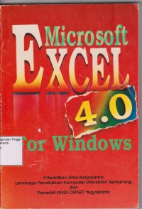 Microsoft excel4.0 for windows 1997. STIE