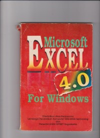 Microsoft Excel 4.0 For Windows. STIE